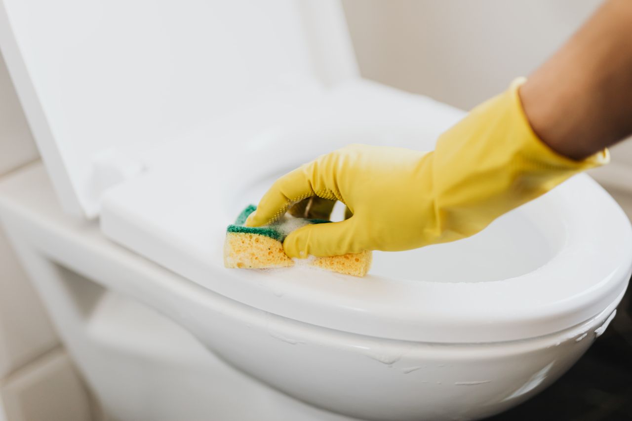 services-02 From above of crop anonymous person in rubber gloves using soapy sponge while cleaning toilet bowl